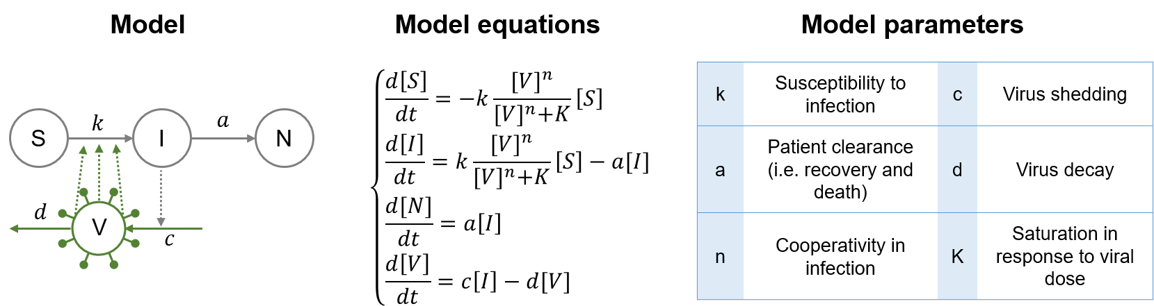 Overview of COVID-19 model