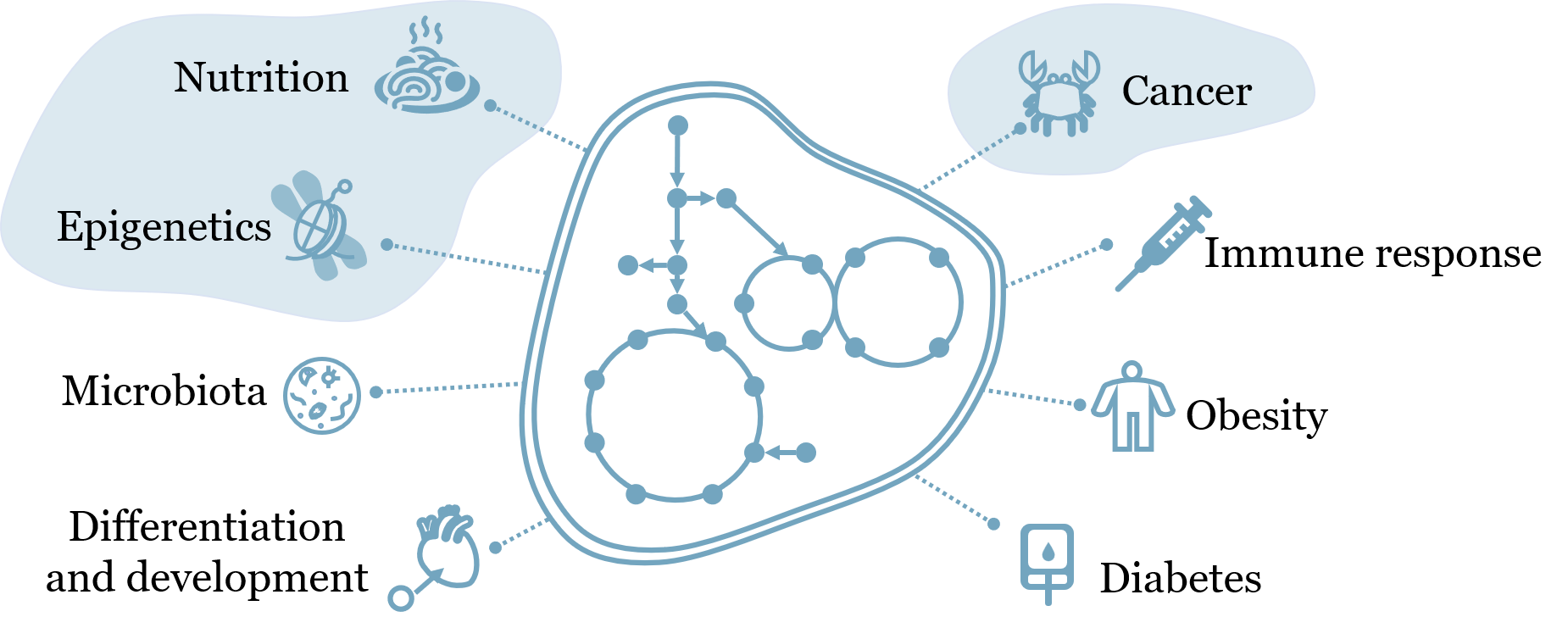 Metabolism in health and disease