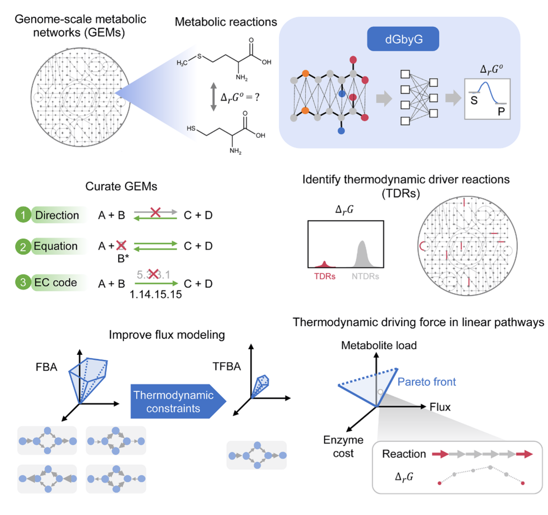 Thermodynamics and control of metabolism
